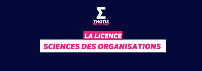 Licence Sciences des organisations