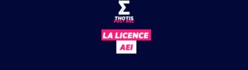 Licence AEI