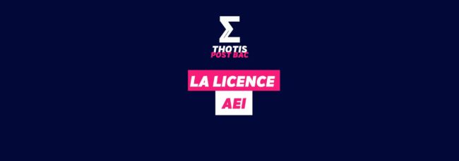 Licence AEI