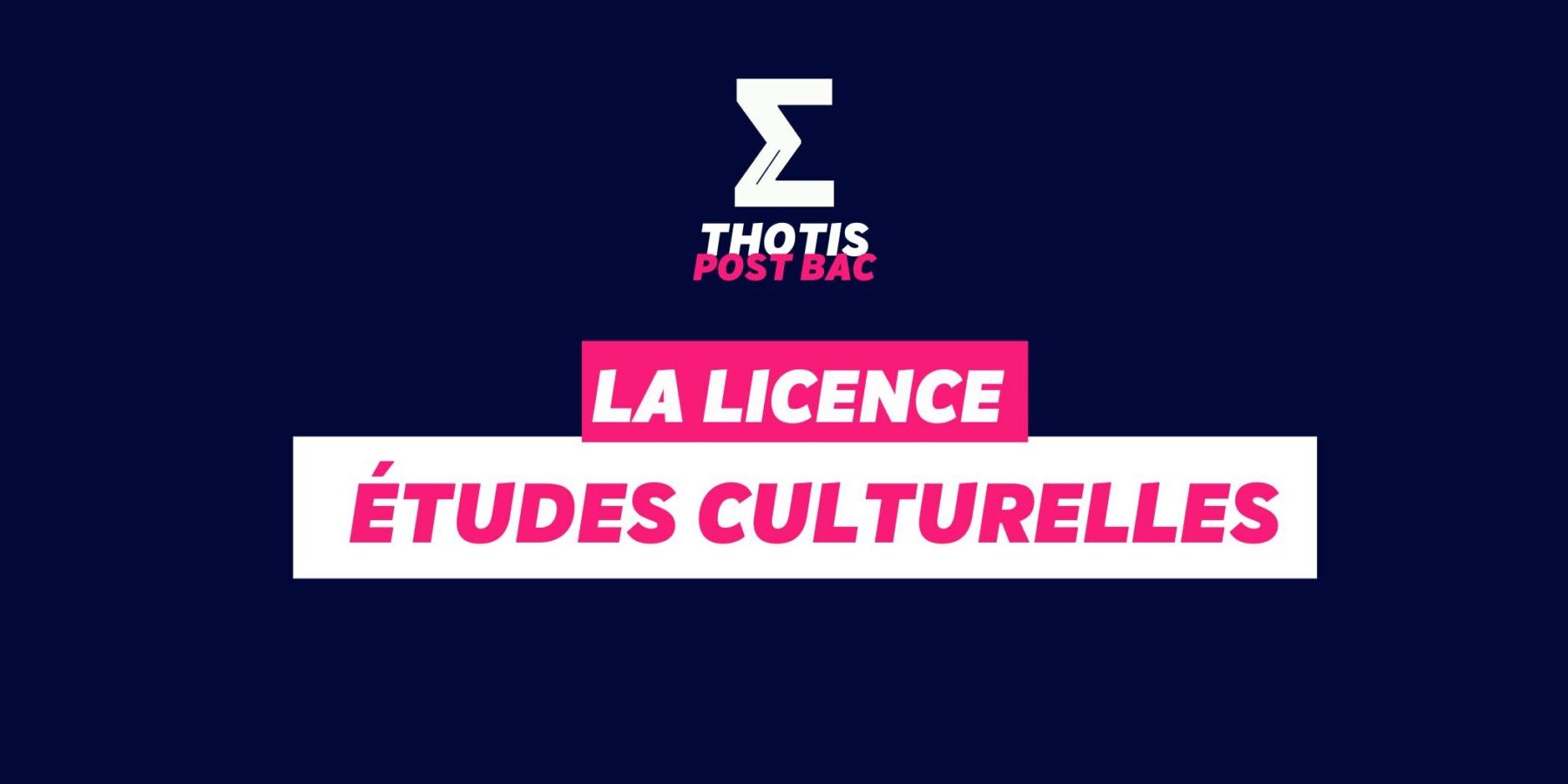 Licence études culturelles